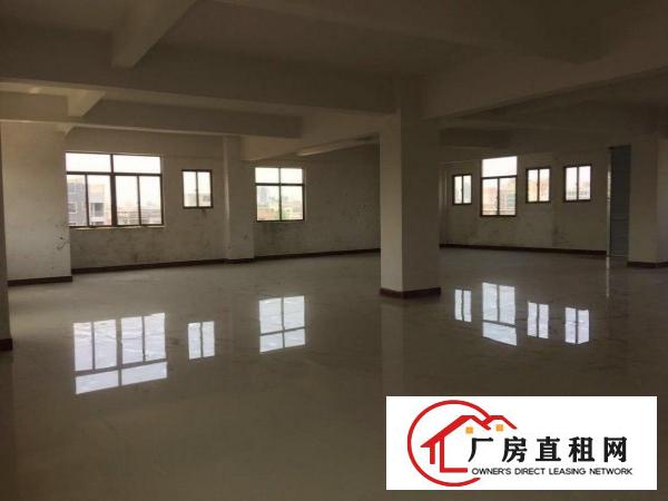 高英文化体育馆旁新建电梯厂房