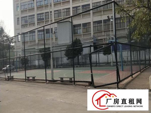  东莞市大朗镇厂房招租