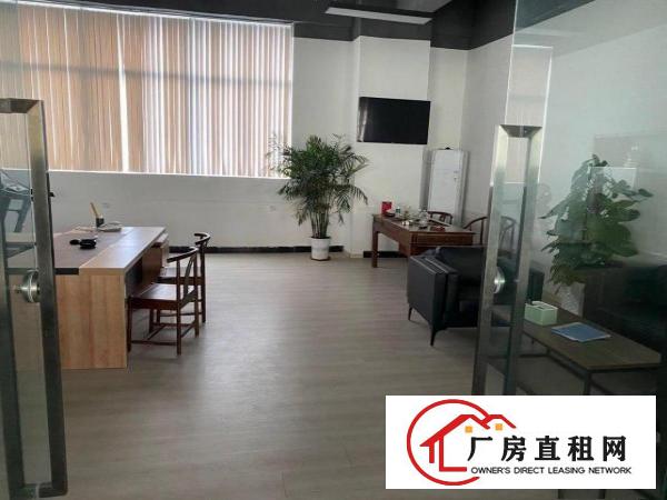  东莞大朗镇毛织中心市场附近厂房