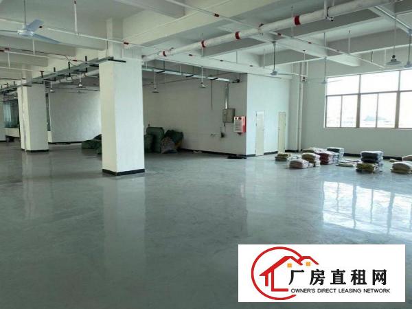  东莞大朗镇毛织中心市场附近厂房