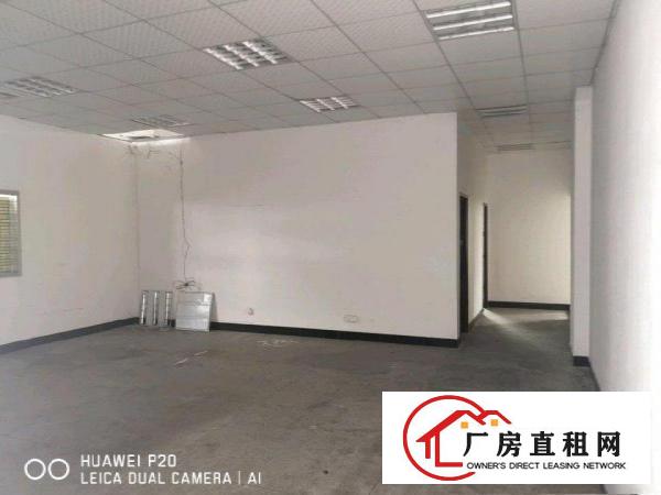  标准一楼出租（带牛角）