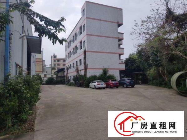  单一层独院厂房出租，滴水12米带牛角