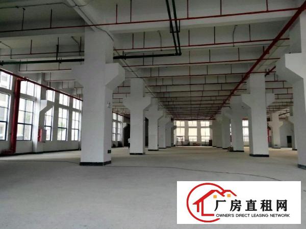  大朗原房东自建标准厂房1-8层，大小可分租，可办环评