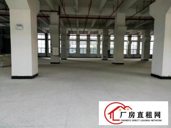  大朗原房东自建标准厂房1-8层，大小可分租，可办环评