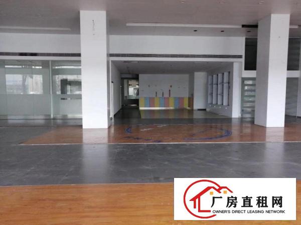  实惠尾盘招租，先下手为强后下手没有