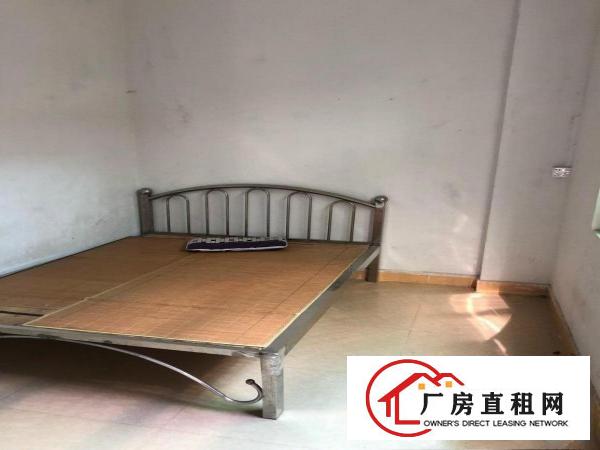  出租房不是厂房2房一厅一卫