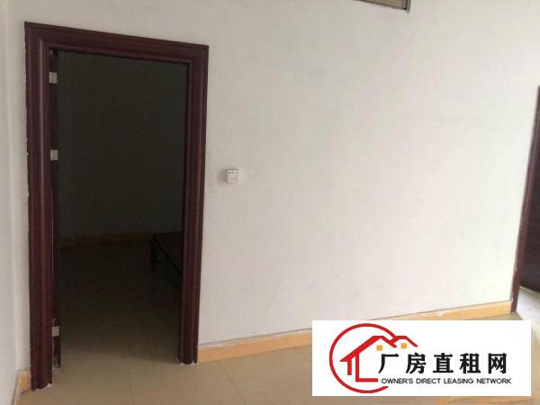  出租房不是厂房2房一厅一卫