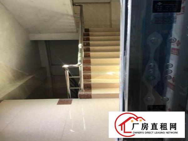  出租房不是厂房2房一厅一卫