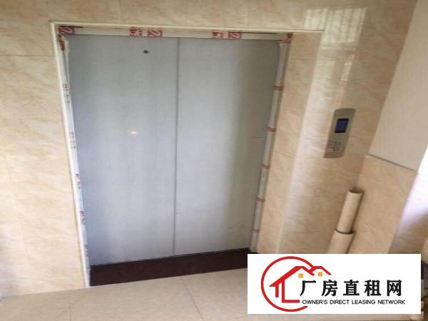  出租房不是厂房2房一厅一卫