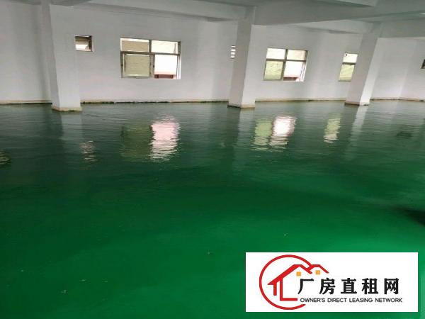  新出独院厂房出租/价格便宜