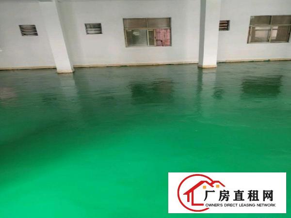  新出独院厂房出租/价格便宜