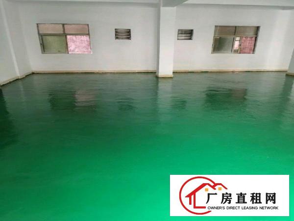  新出独院厂房出租/价格便宜