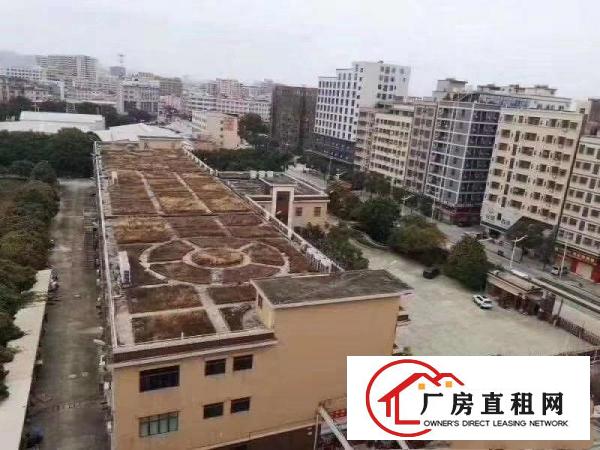  大朗镇洋坑塘村独院花园式厂房12800平方出租