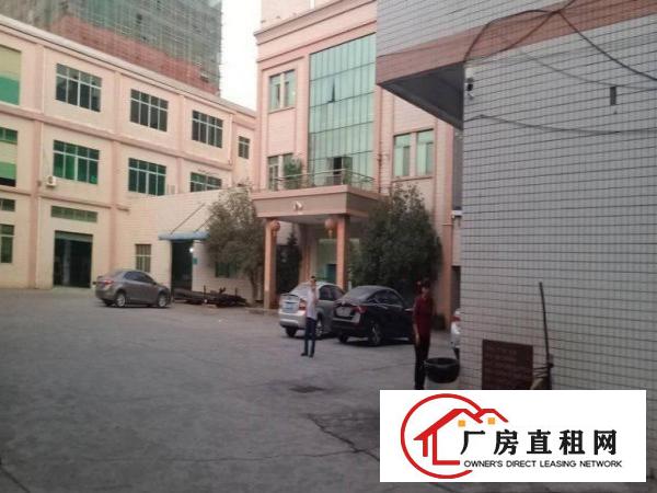 大朗原房东独门独院标准厂房