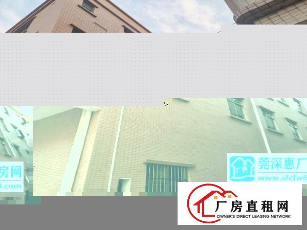  全新厂房写字楼整栋出租