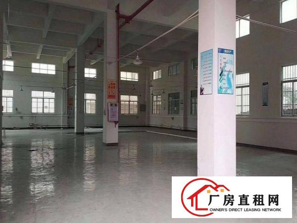  松柏朗新出一楼1550平方，厂房现成装修