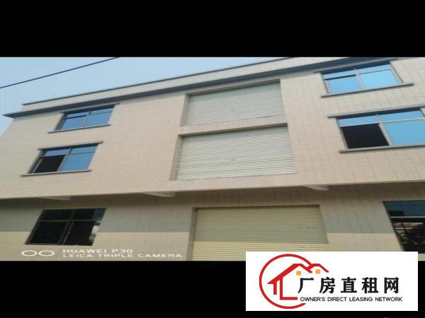  全新装修电梯厂房！业主直租