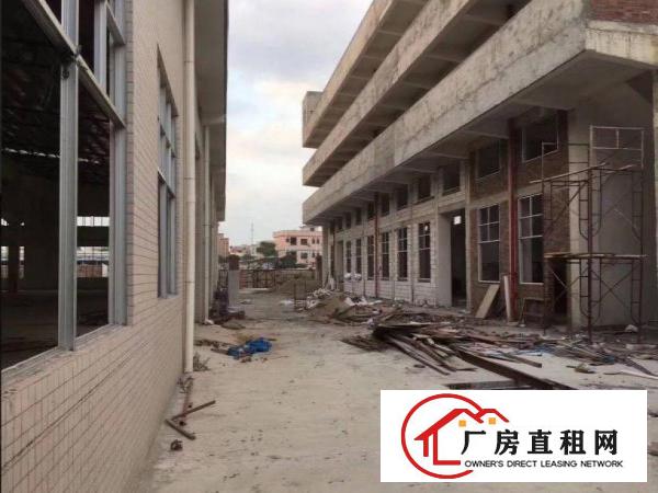  大朗镇宝陂独院单一层厂房2900平方出租，滴水8米