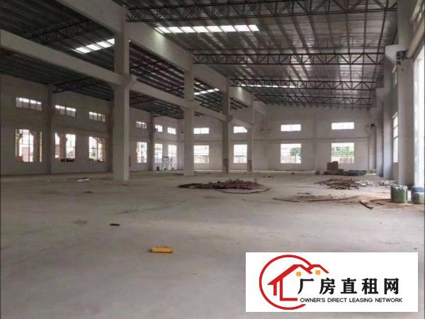  大朗镇宝陂独院单一层厂房2900平方出租，滴水8米