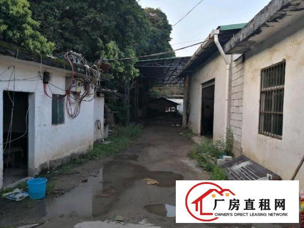  厂房出租，可分租，欢迎有能力客户一起共赢，建多钱层