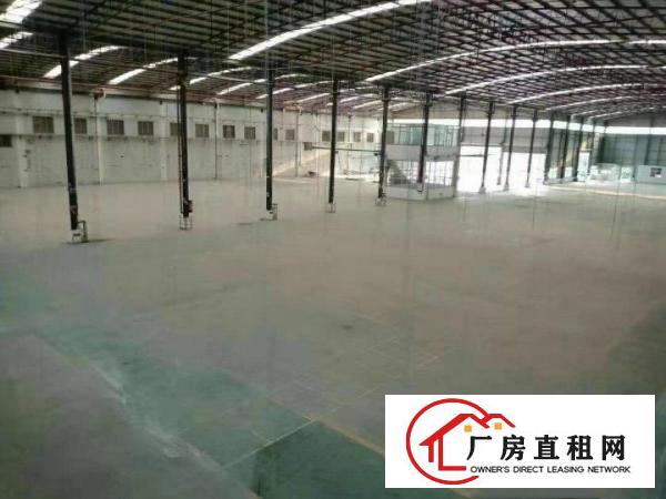  新出原房东独院单一层厂房，实际面积可量