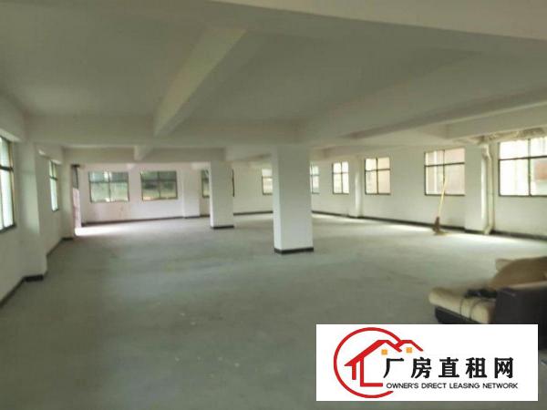  两层可以分租，可以全部租，两层有750平