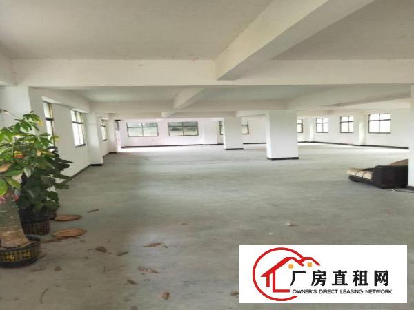  两层可以分租，可以全部租，两层有750平