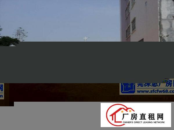 松山湖高速出口全新独院厂房13元/平方整租