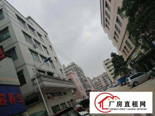  地铁口300米百万装修独院厂房14元/平