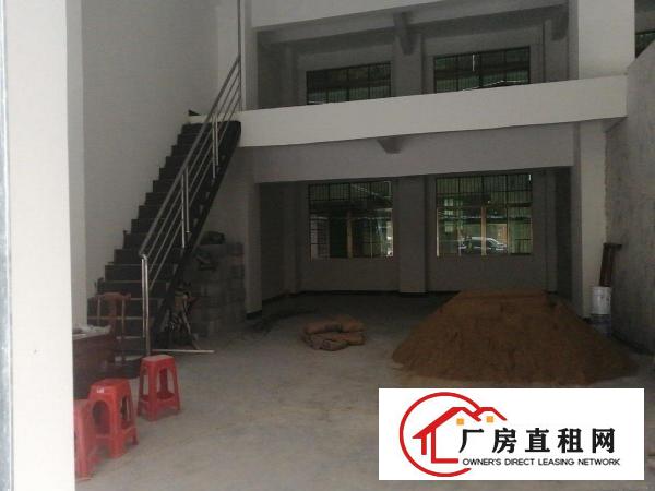  全新厂房一楼6.5米高带隔办公区