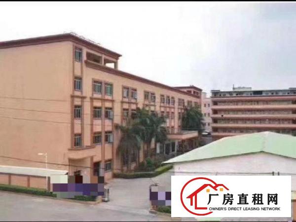  东莞市大朗消防验收红本厂房出租