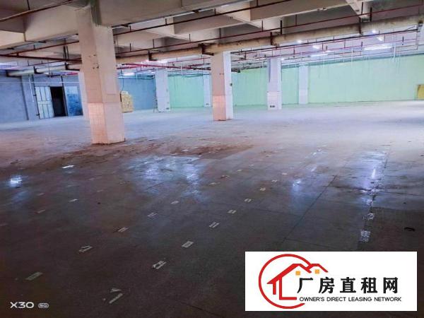  东莞市大朗消防验收红本厂房出租