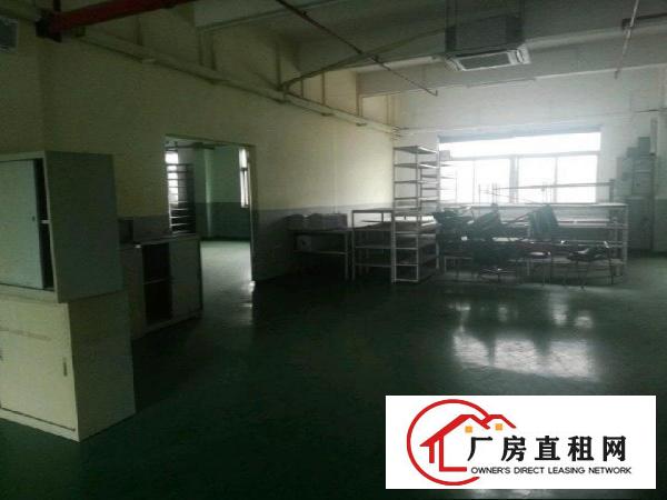 大朗毛织中心商圈洁净车间出租