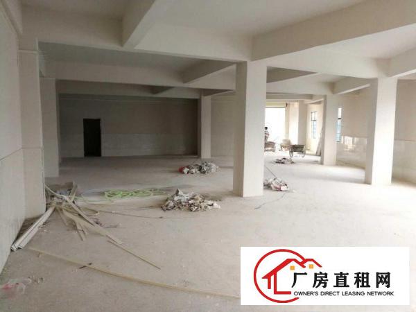  出租大朗镇长塘飞鼠地全新厂房宿舍