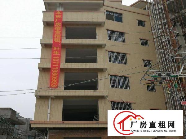  出租大朗镇长塘飞鼠地全新厂房宿舍