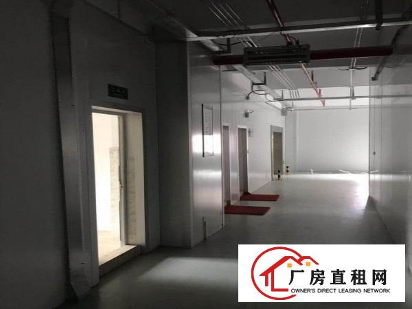  大朗莞樟路边无尘车间1200㎡出租