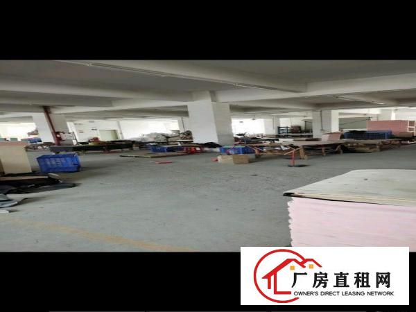  原房东，厂房，可包，