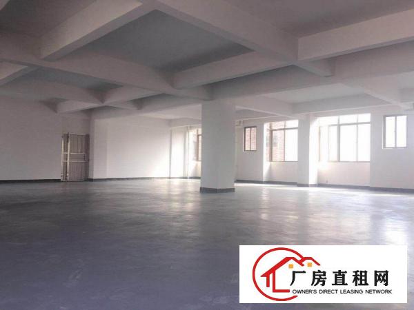  原房东新出小型独院厂房