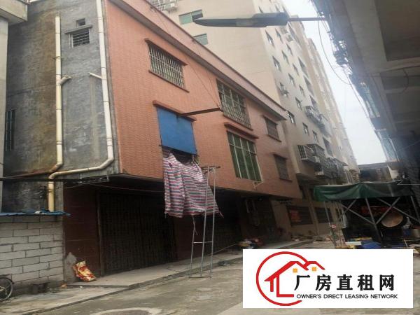  大朗松木山加油站附近自建房出租