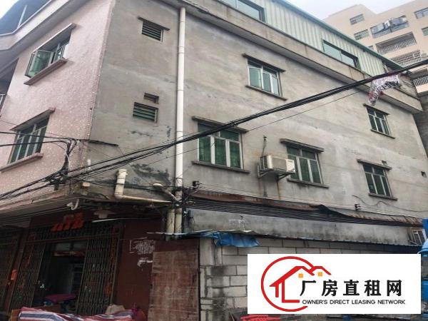  大朗松木山加油站附近自建房出租