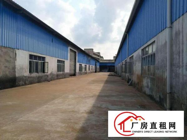  大朗单一层独院钢构5000平