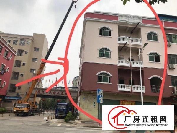  大朗水霖学校大门口旁厂房出租