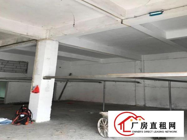  大朗水霖学校大门口旁厂房出租