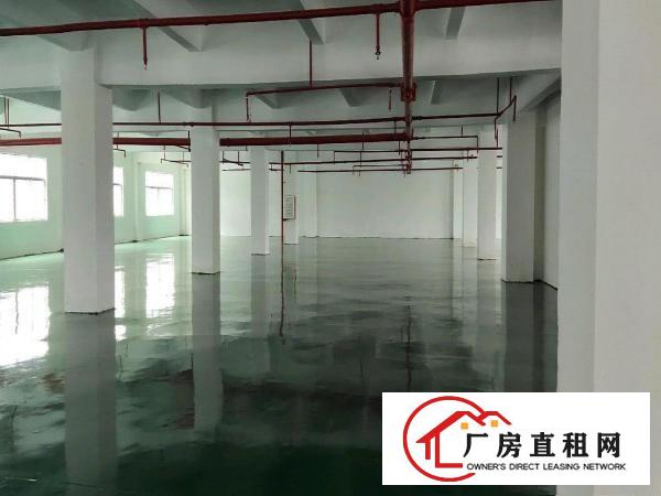  大朗全新厂房对外出租