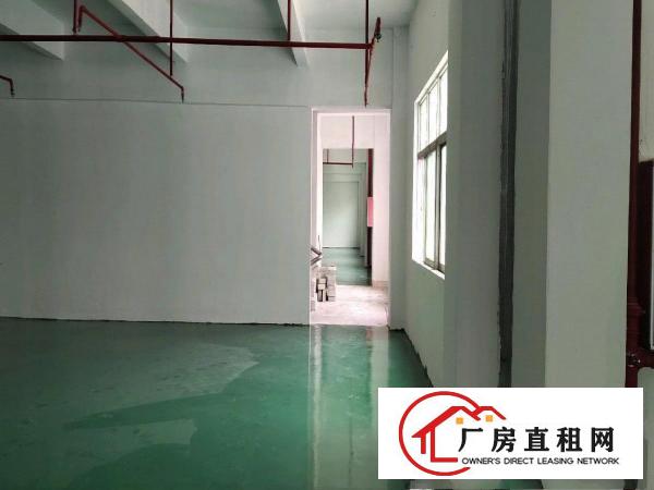  大朗全新厂房对外出租