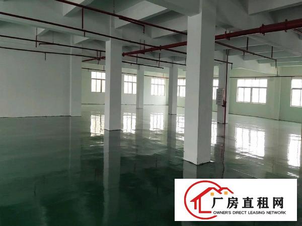  大朗全新厂房对外出租