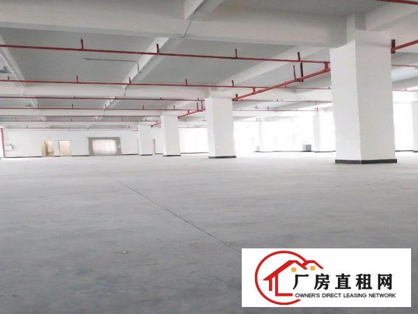  大朗新马连标准厂房出租，带水电装修，可直接生产