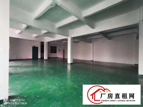  大朗镇楼上厂房带地坪漆10块！10块！速度要快！