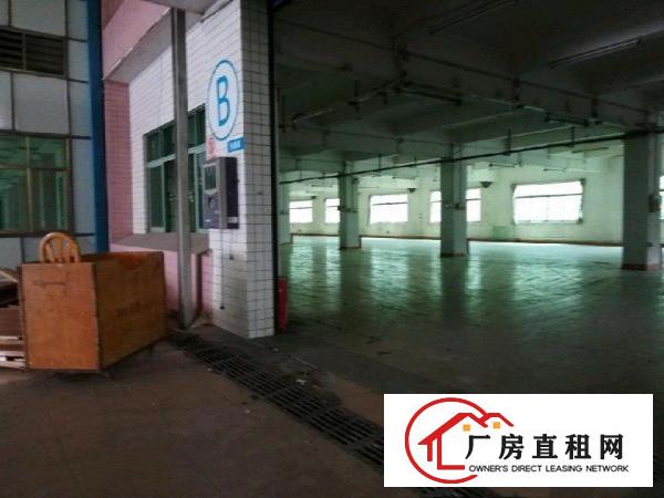  大朗原房东红本双证工业厂房分租一楼3千平方！