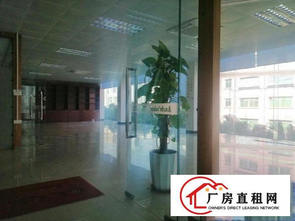  大朗富民工业园新岀带精装修独门独院厂房招租